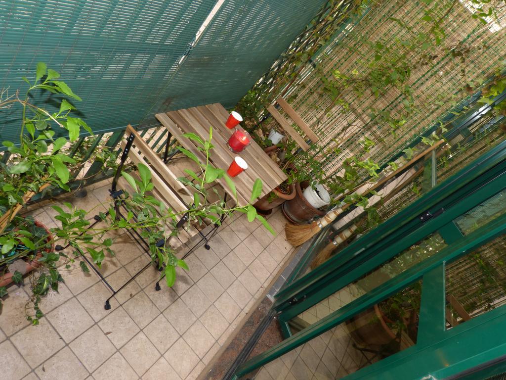 Residenza Piazza San Francesco Lejlighed Bologna Værelse billede